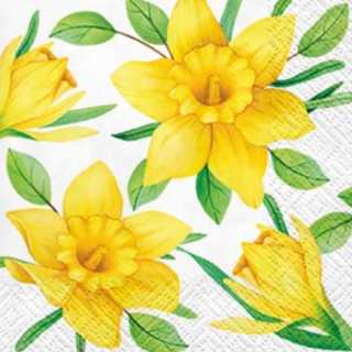 Tovaglioli per decoupage Daffodils in Bloom - 1 pezzo