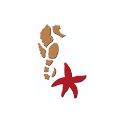 Sagoma 3D Cavalluccio marino e stella marina 7x10 cm