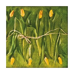 Tovaglioli per decoupage Fresh Tulips - 1 pezzo